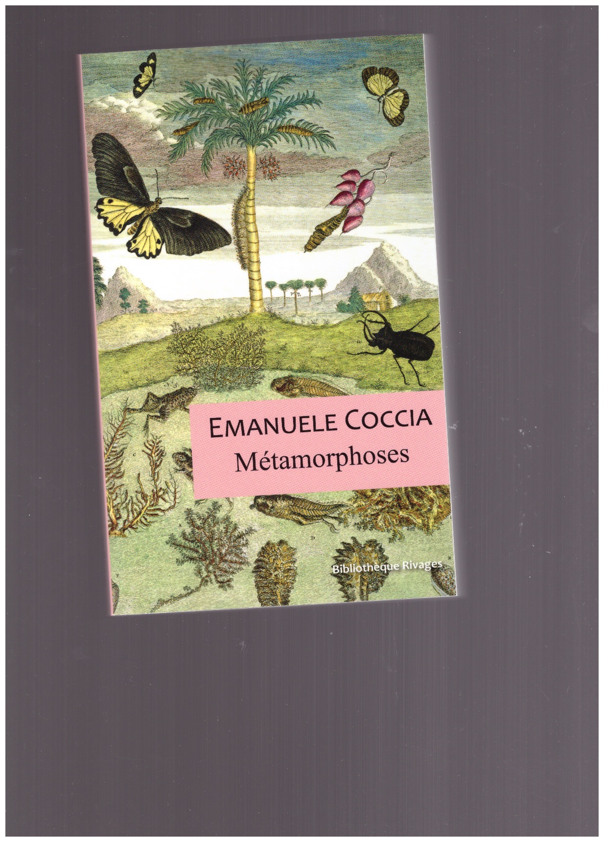 COCCIA, Emanuele - Métamorphoses